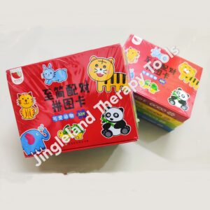 Cognitive Matching (4 in a set: Animal, Fruits, Daily Objects, Transport)
