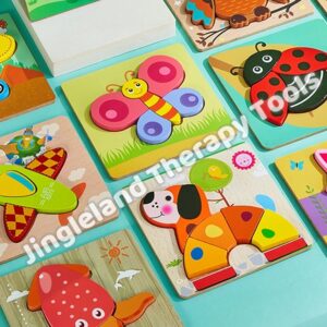 Cognitive Wooden Puzzle